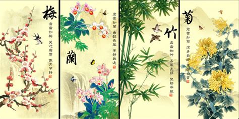 梅蘭菊竹春夏秋冬|花卉四君子——「梅蘭竹菊」，它們各自的意義你了解嗎？